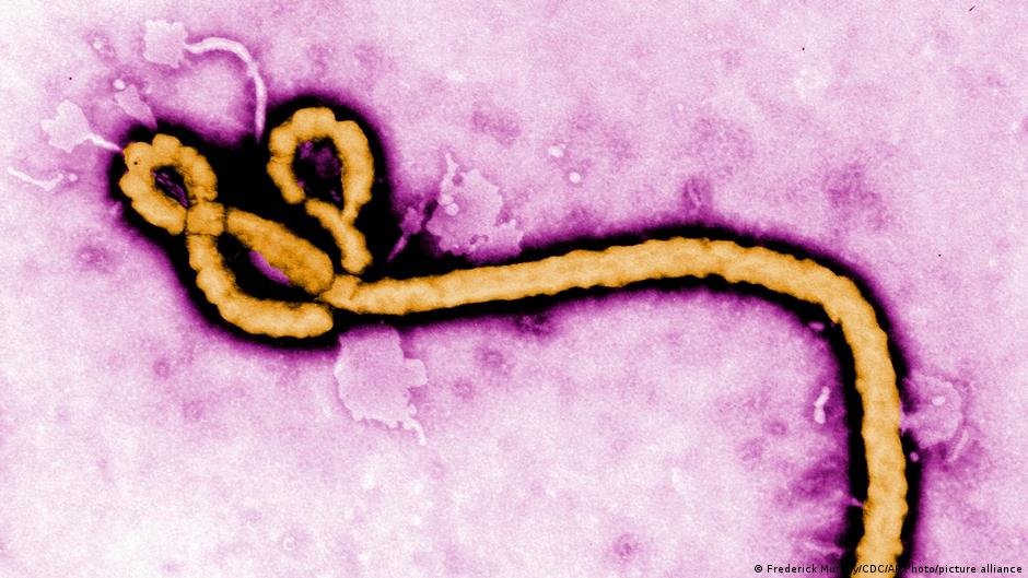 À l’intérieur de la course pour détecter l’Ebola en RDC. À l’intérieur de la course pour détecter l’Ebola en RDC.