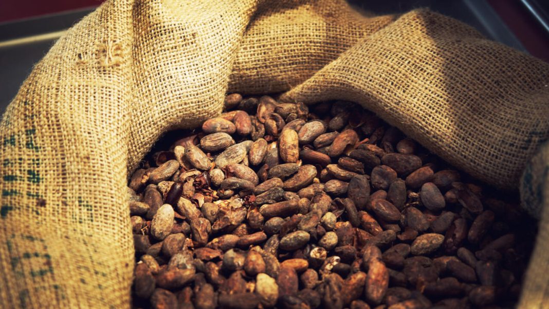 Produire davantage et transformer plus localement : l’ambition « cacao » de la RDC – Chronique des matières premières. Produire davantage et transformer plus localement : l’ambition « cacao » de la RDC – Chronique des matières premières.
