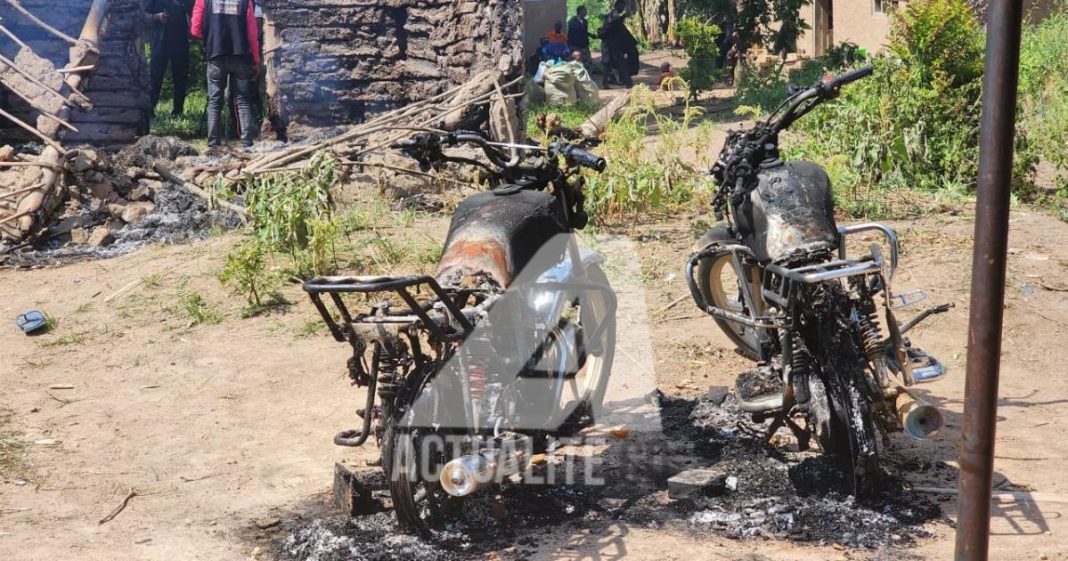 RDC : Carly Nzanzu Kasivita estime qu’il serait « audacieux » de fixer un délai pour la neutralisation des ADF. RDC : Carly Nzanzu Kasivita estime qu’il serait « audacieux » de fixer un délai pour la neutralisation des ADF.