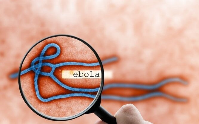 Une rentrée scolaire marquée par Ebola, des grèves et des conflits. Une rentrée scolaire marquée par Ebola, des grèves et des conflits.