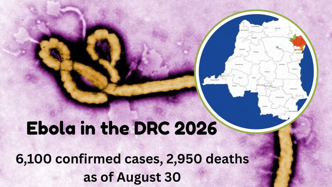 Plus de 6 000 cas confirmés en 3 mois et demi. Plus de 6 000 cas confirmés en 3 mois et demi.